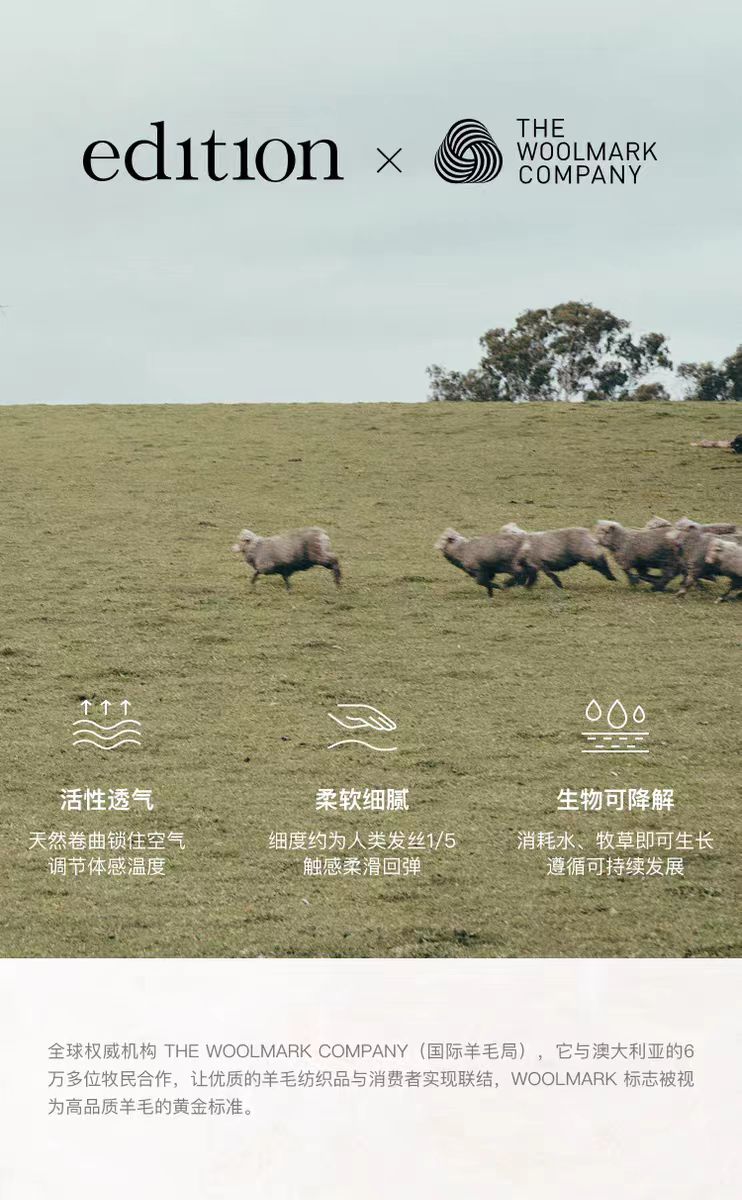 2025091322432817566o.jpg 4.jpg