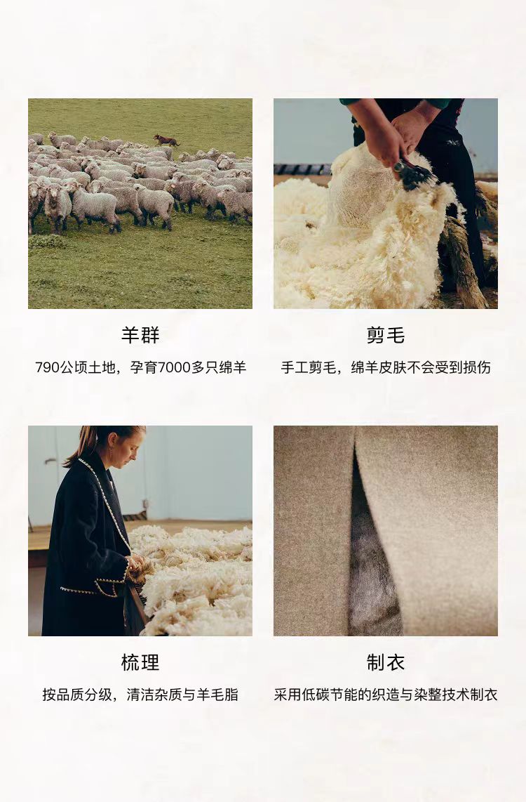 2025091322433317599j.jpg 5.jpg